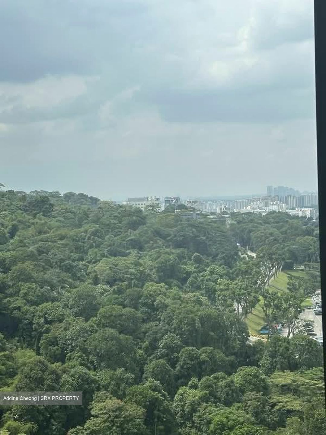 Midwood (D23), Condominium #556686851